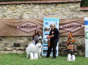 Speciální Výstava Chržín   20250927 7